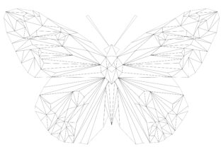 A Designer's Take on the Clouded Yellow Butterfly Geodesic