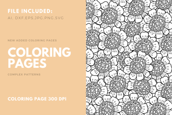 A Designer’s Review: The Flower Coloring Page Graphics Asset