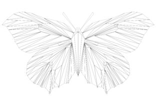 Brimstone Butterfly Geodesic: A Designer’s First Impression