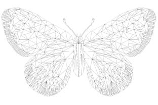 Designing with the Apollo Butterfly Geodesic: A Professional Review