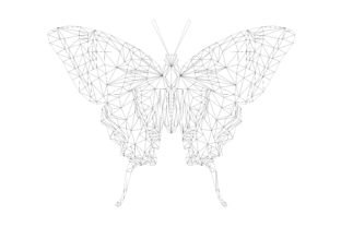 Scarce Swallowtail Butterfly Geodesic for Graphics and Crafts