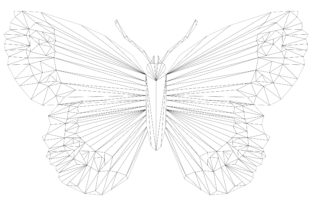 The Arran Brown Butterfly Geodesic: A Graphic Asset for Crafts