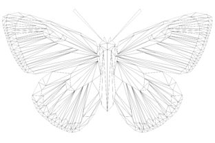 The Copper Butterfly: A Crafted Graphic for Brand Transformation