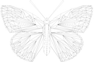 The Copper Butterfly Geodesic: A Graphic Asset for Craft & Brand Visuals